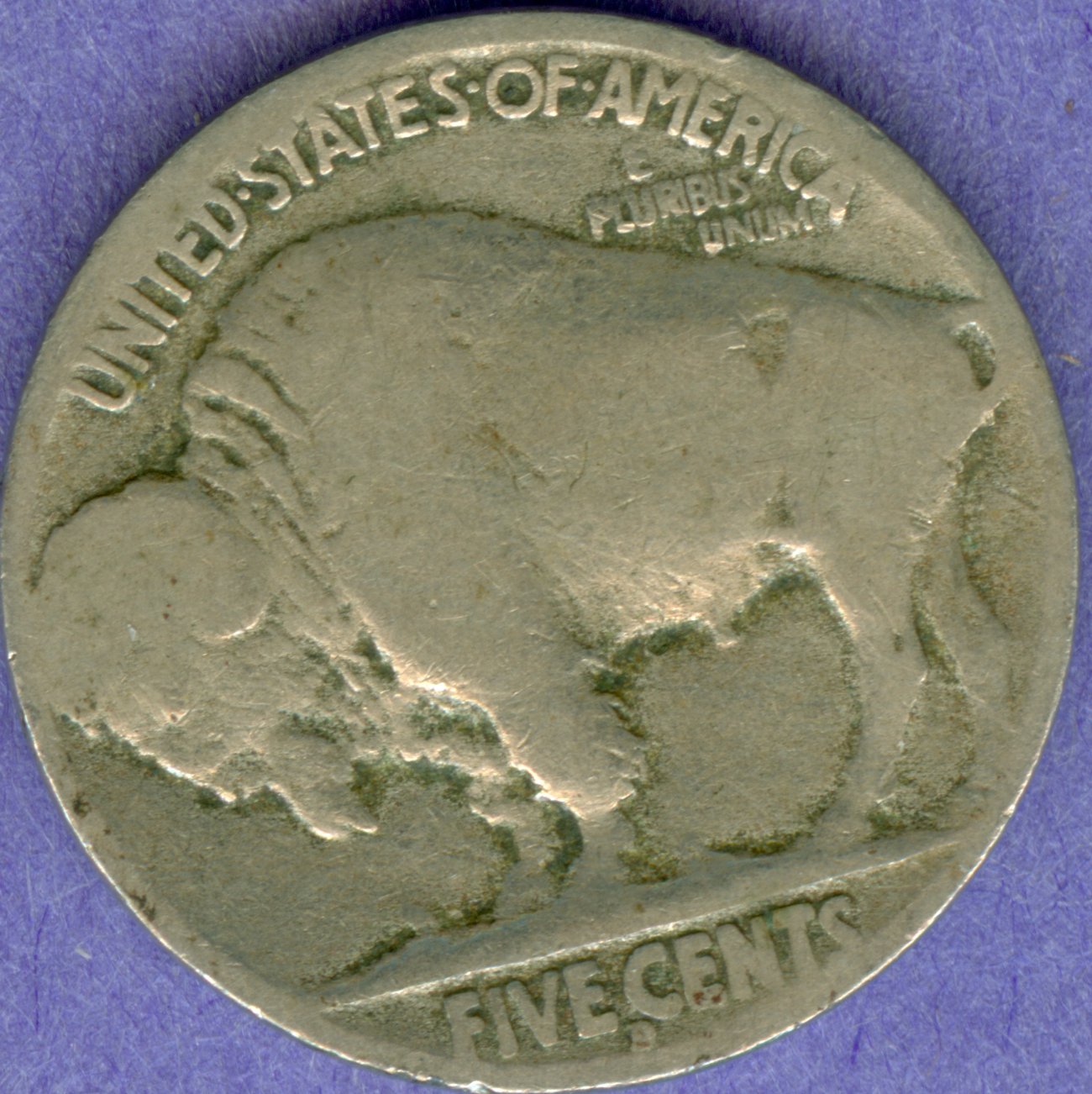 Buffalo-Five-Cent-Piece-In-Pocket-Change